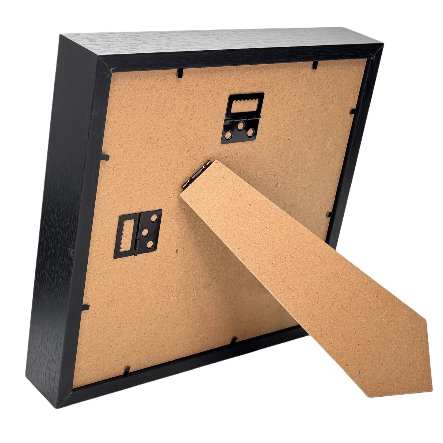 Slangenskelet in diepe lijst 25x25 cm