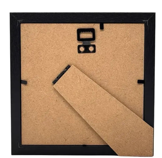 Siproeta Stelenes – passe partout 16×16 cm