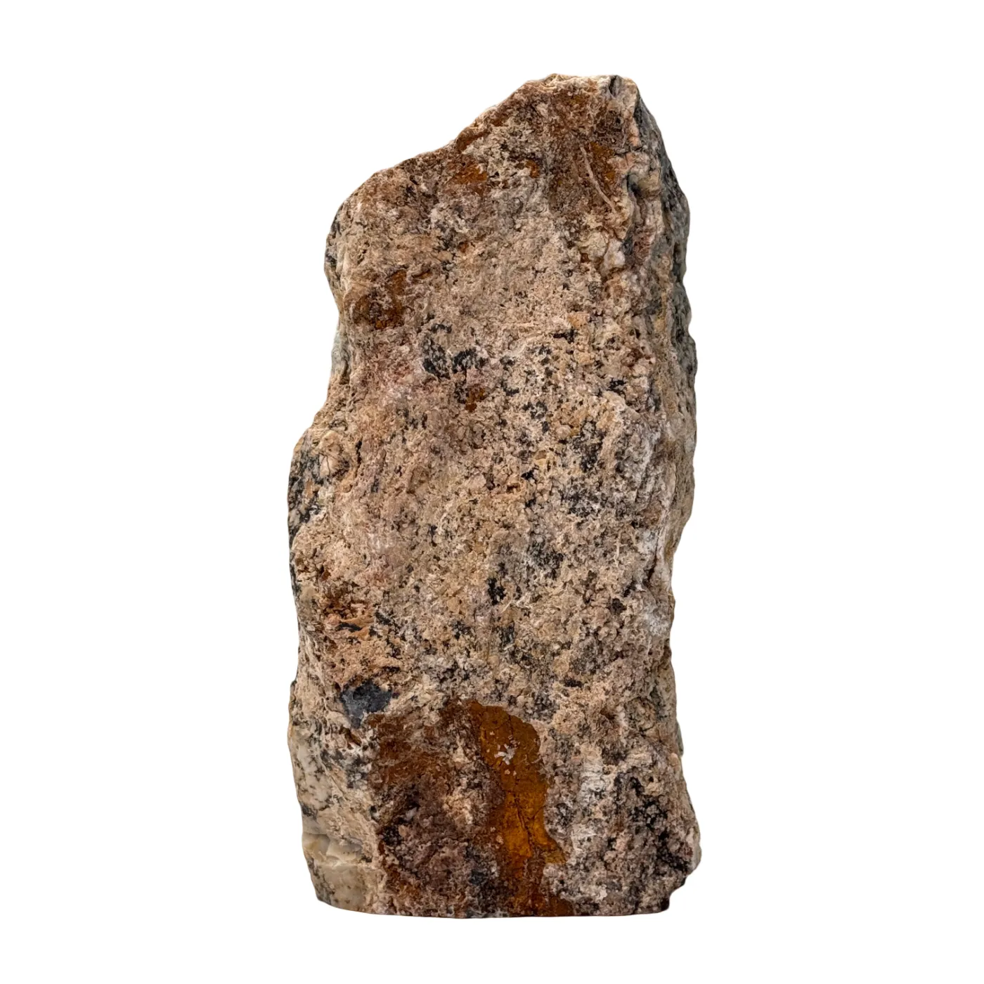 Dendriet Chalcedoon - ruw - half gepolijst - cut base - #1
