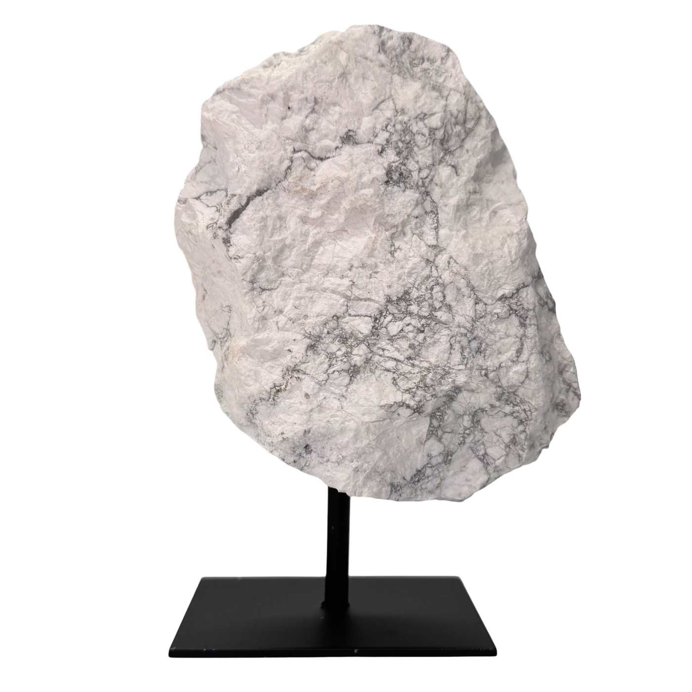 Ruwe Howliet uit Brazilië op standaard #1