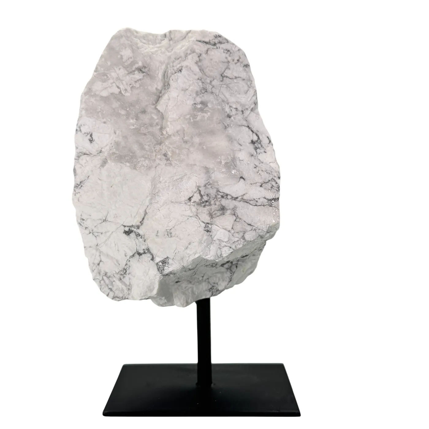 Ruwe Howliet uit Brazilië op standaard #2