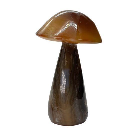 Agaat paddenstoel #1 - hoge kwaliteit agaat