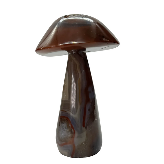 Agaat paddenstoel #2 - hoge kwaliteit agaat