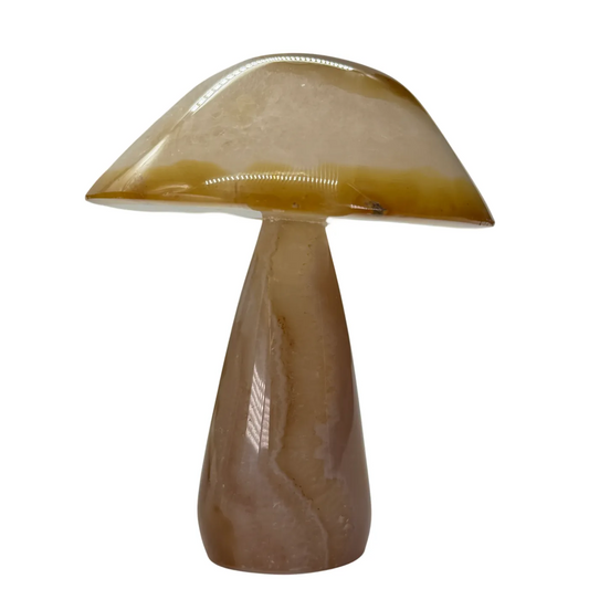 Agaat paddenstoel #3 - hoge kwaliteit agaat