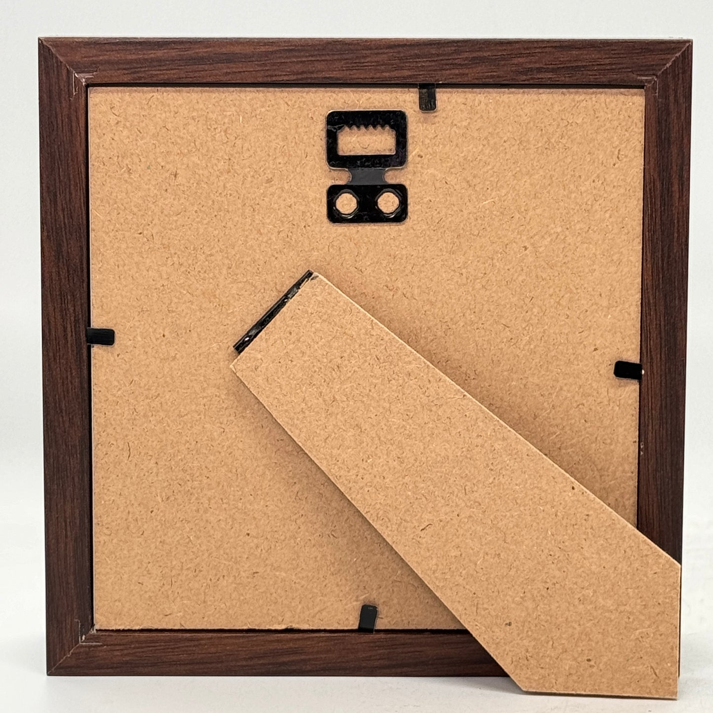 Vioolkever – Mormolyce phyllodes | Luxe Diepe Lijst