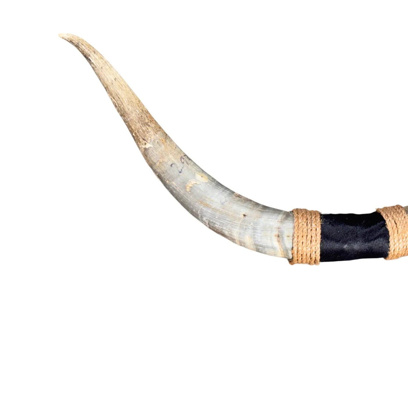 Pare-buffle Texas - cornes - 97 cm - #44