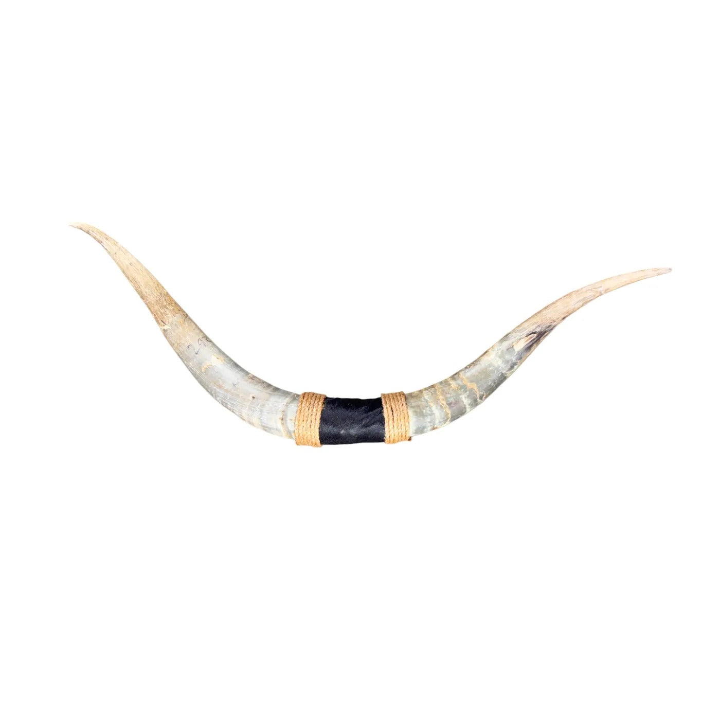 Pare-buffle Texas - cornes - 97 cm - #44
