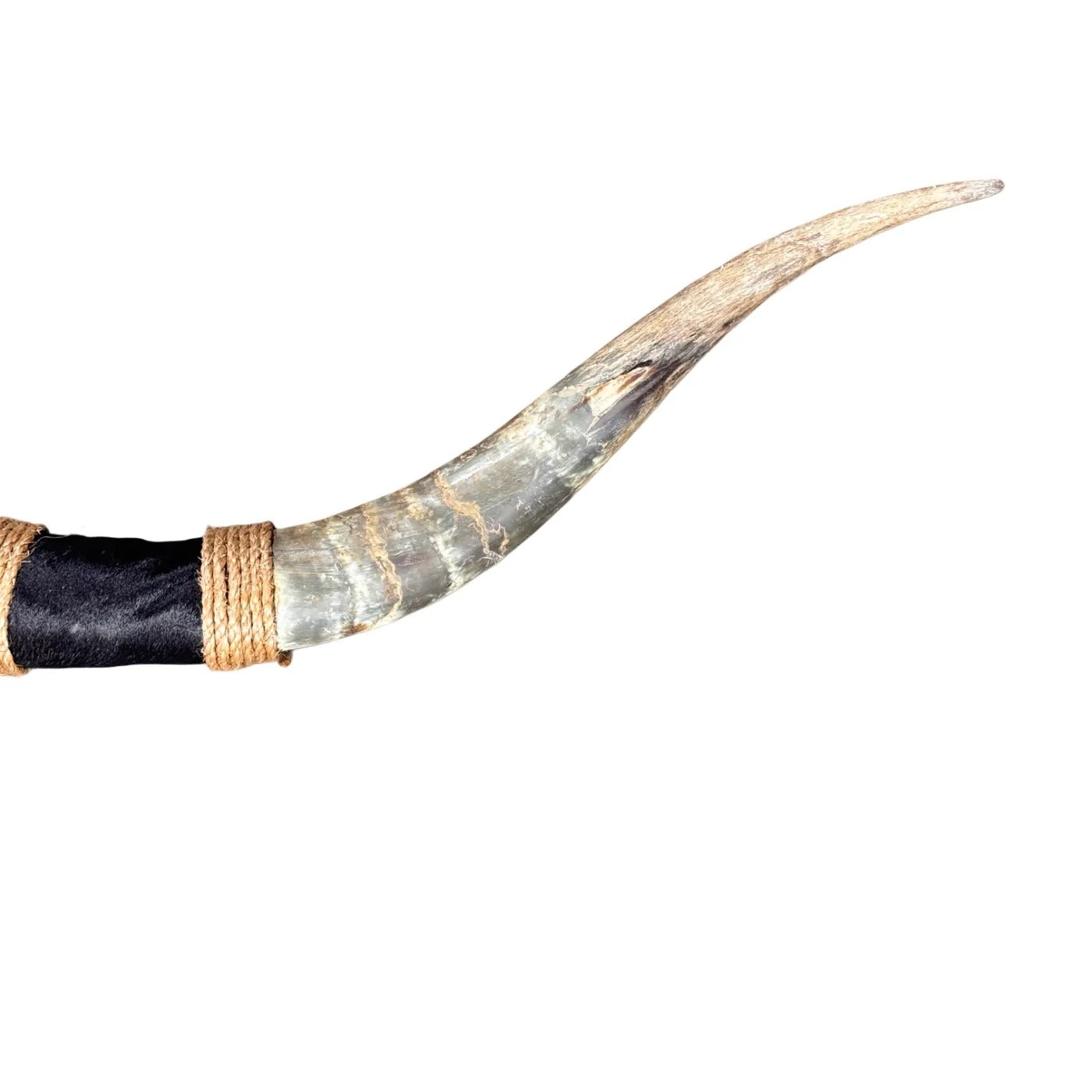 Pare-buffle Texas - cornes - 97 cm - #44