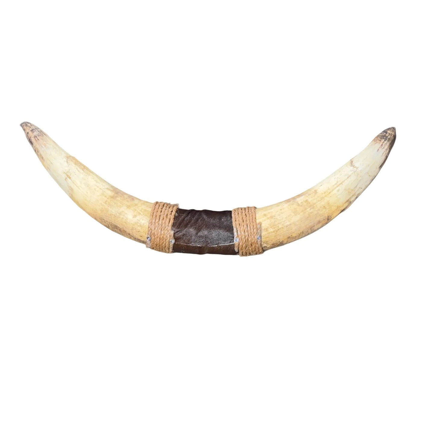 Bullbar texas - horns - 94 cm - #49