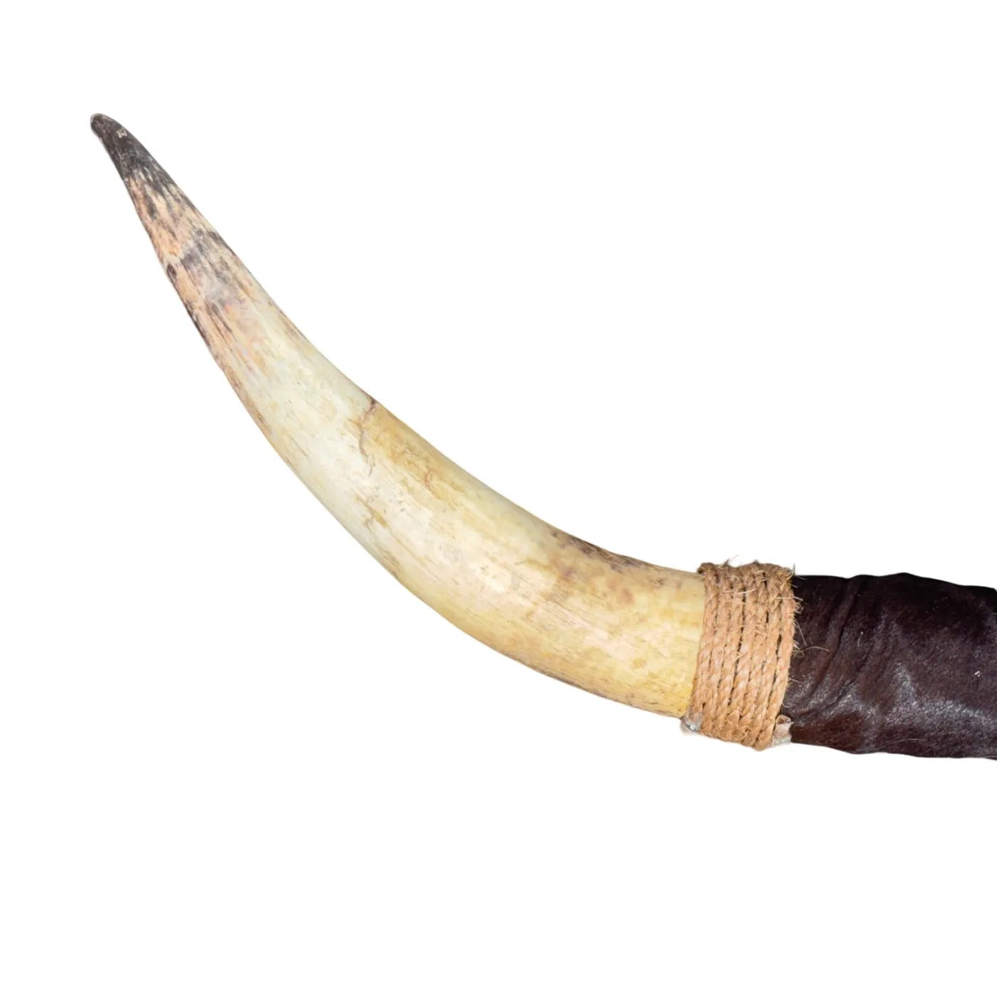 Bullbar texas - horns - 94 cm - #49
