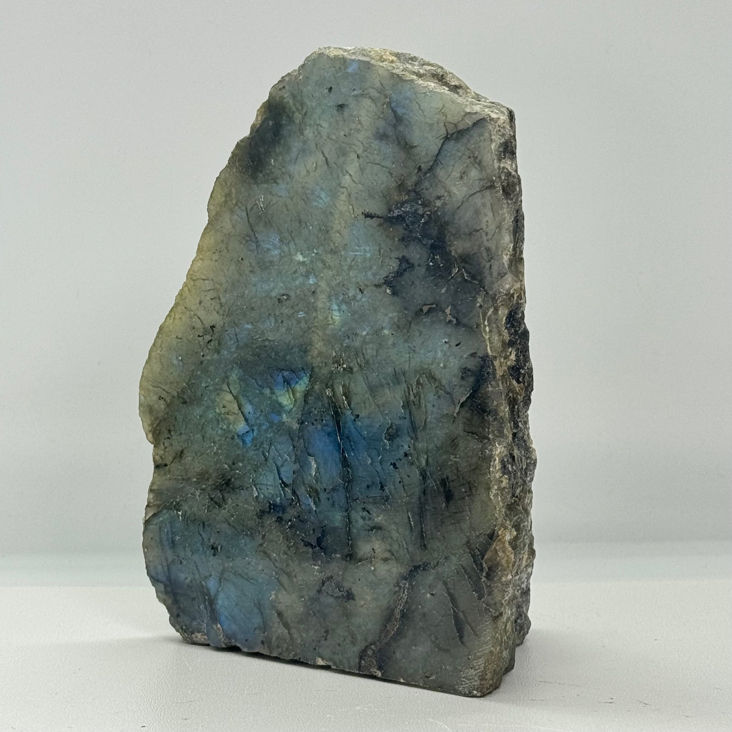 Labradoriet cut base half gepolijst #1