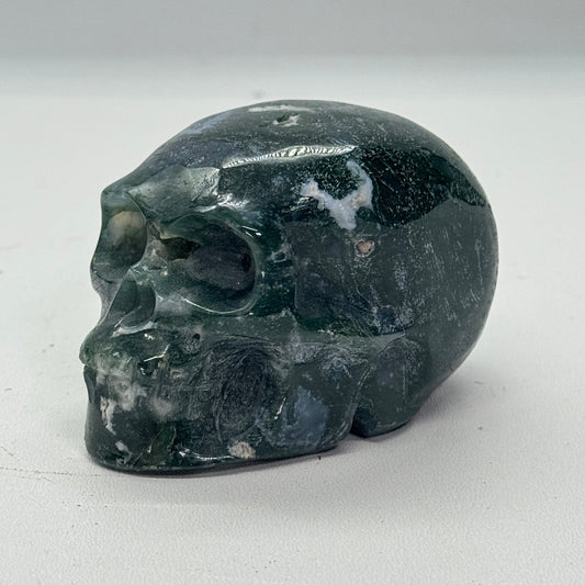 Schedel van mosagaat