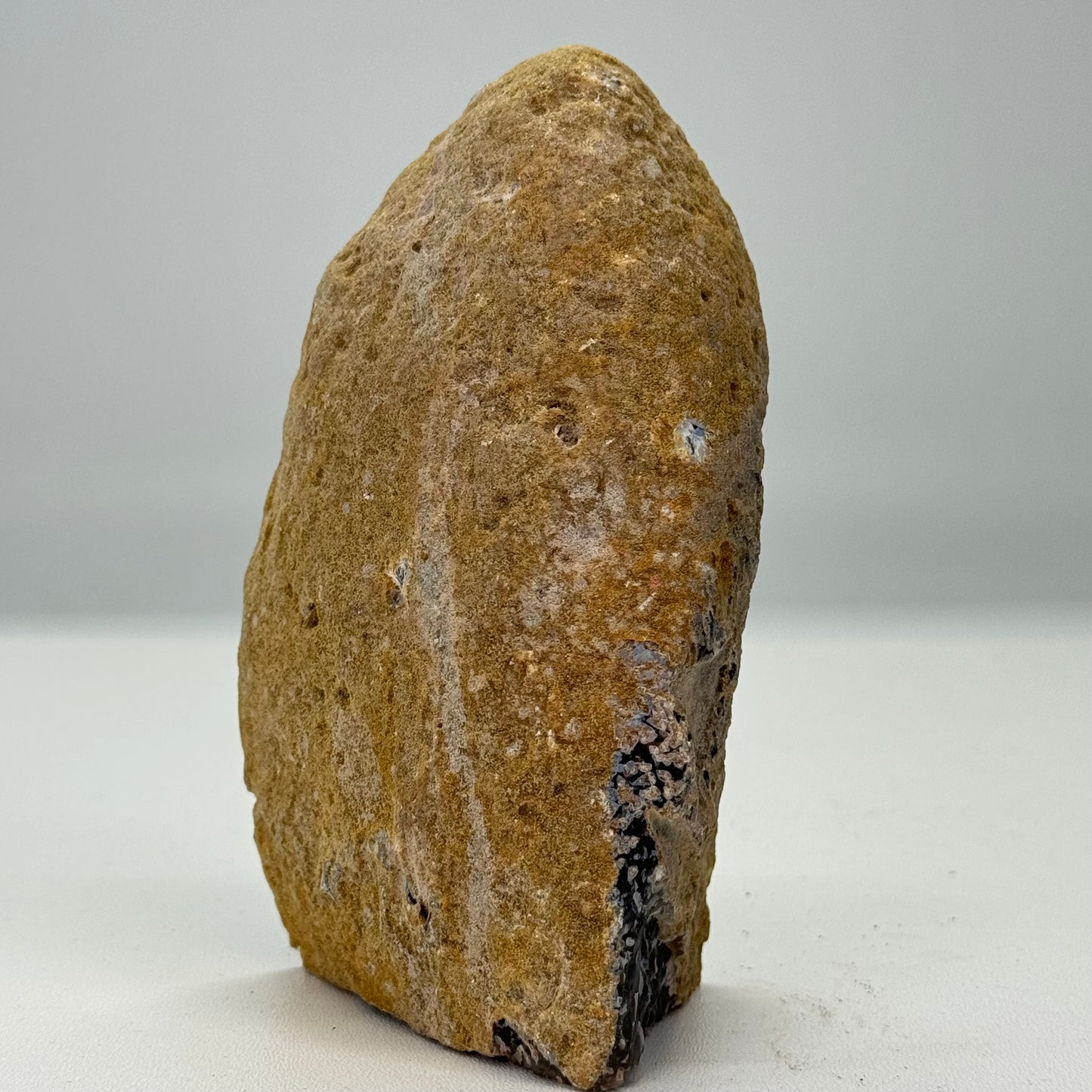 Agaat geode cut base 14 cm #16