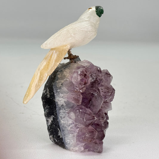 kleine papegaai op amethist cluster