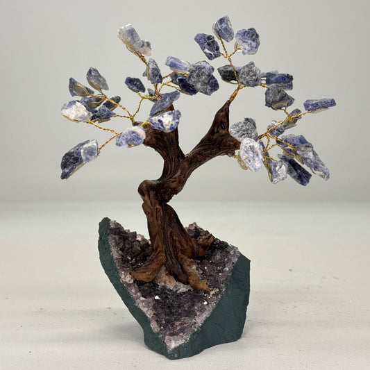 Mineralen boom van Sodaliet 15 cm