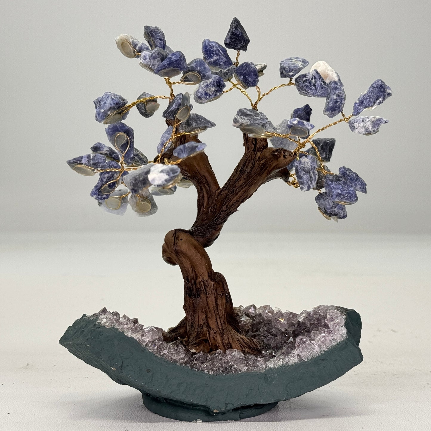 Mineralen boom van Sodaliet 15 cm