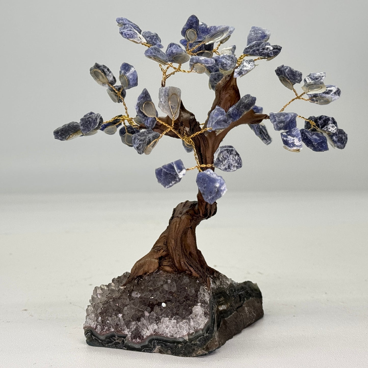 Mineralen boom van Sodaliet 15 cm