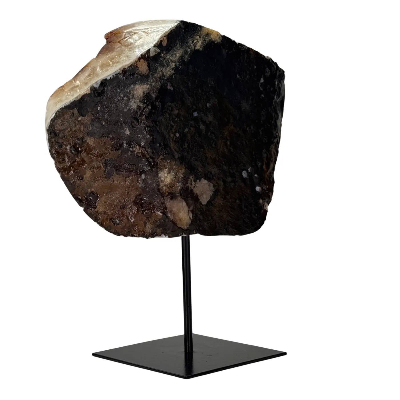 Citrien op Zwarte Metalen Standaard – 24 cm
