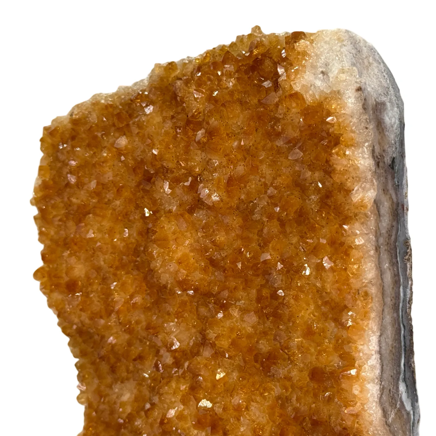 Citrien op Houten Voet – 924 gram