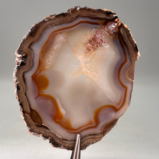 Dunne natuurlijke agaatschijf uit Brazilië