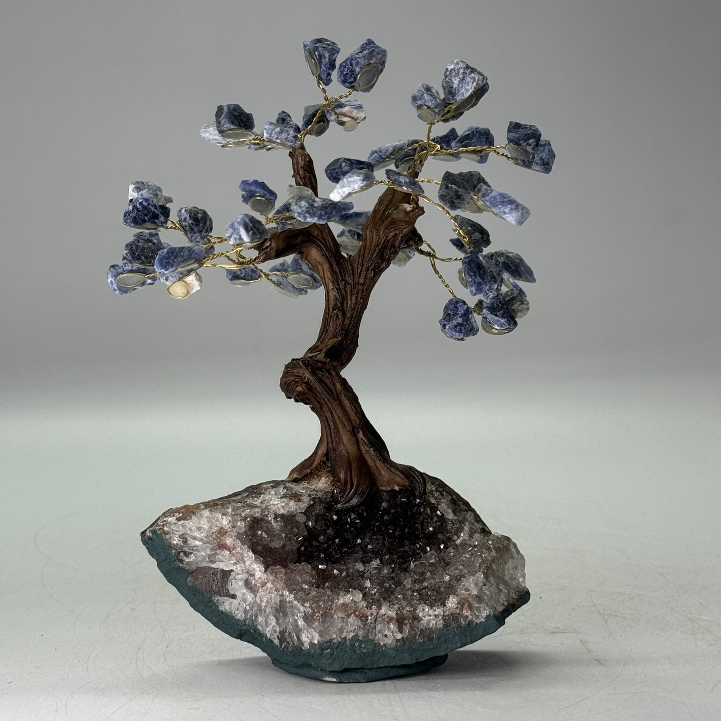 Mineralen boom van Sodaliet 15 cm