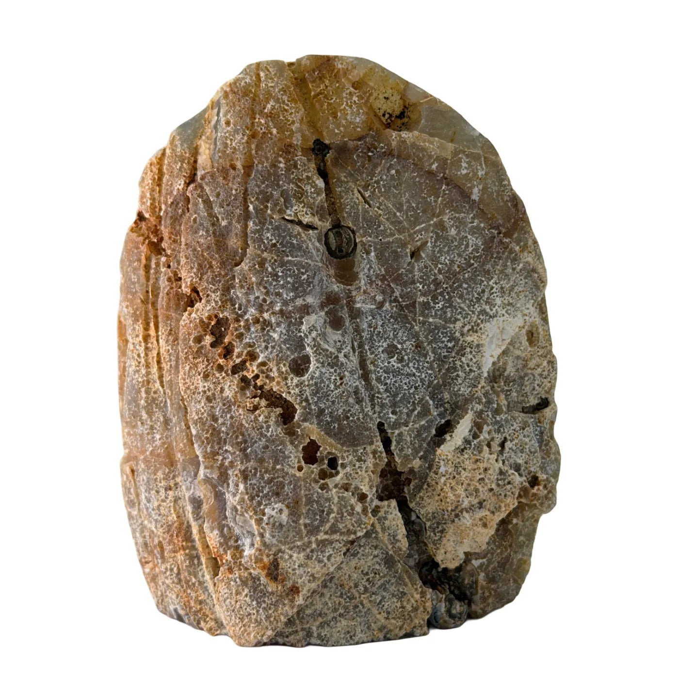 Natuurlijke Agaat Rots met Druzy – Gepolijst | Brazilië