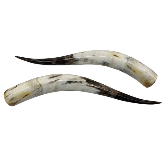 Longhorn Hoorn set – Gepolijst & Natuurlijk 66 cm