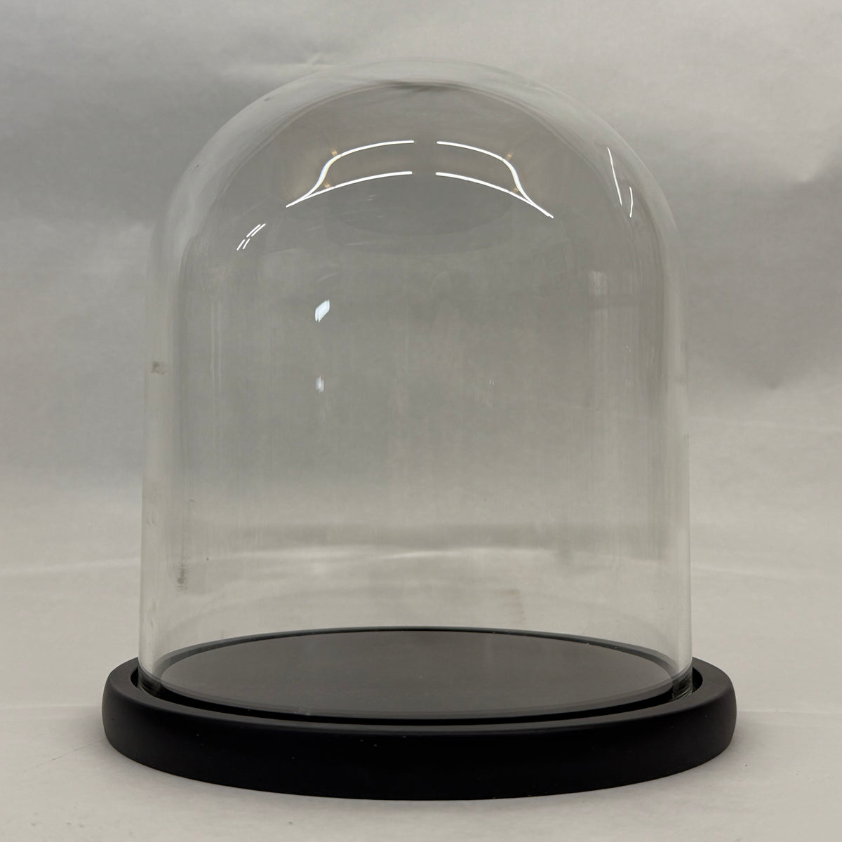 Bell jar 23 x 23 cm