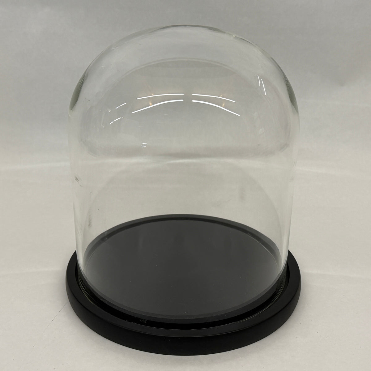 Bell jar 23 x 23 cm