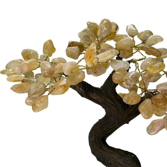 Citrien Boom op Amethist Cluster – 24 Takken