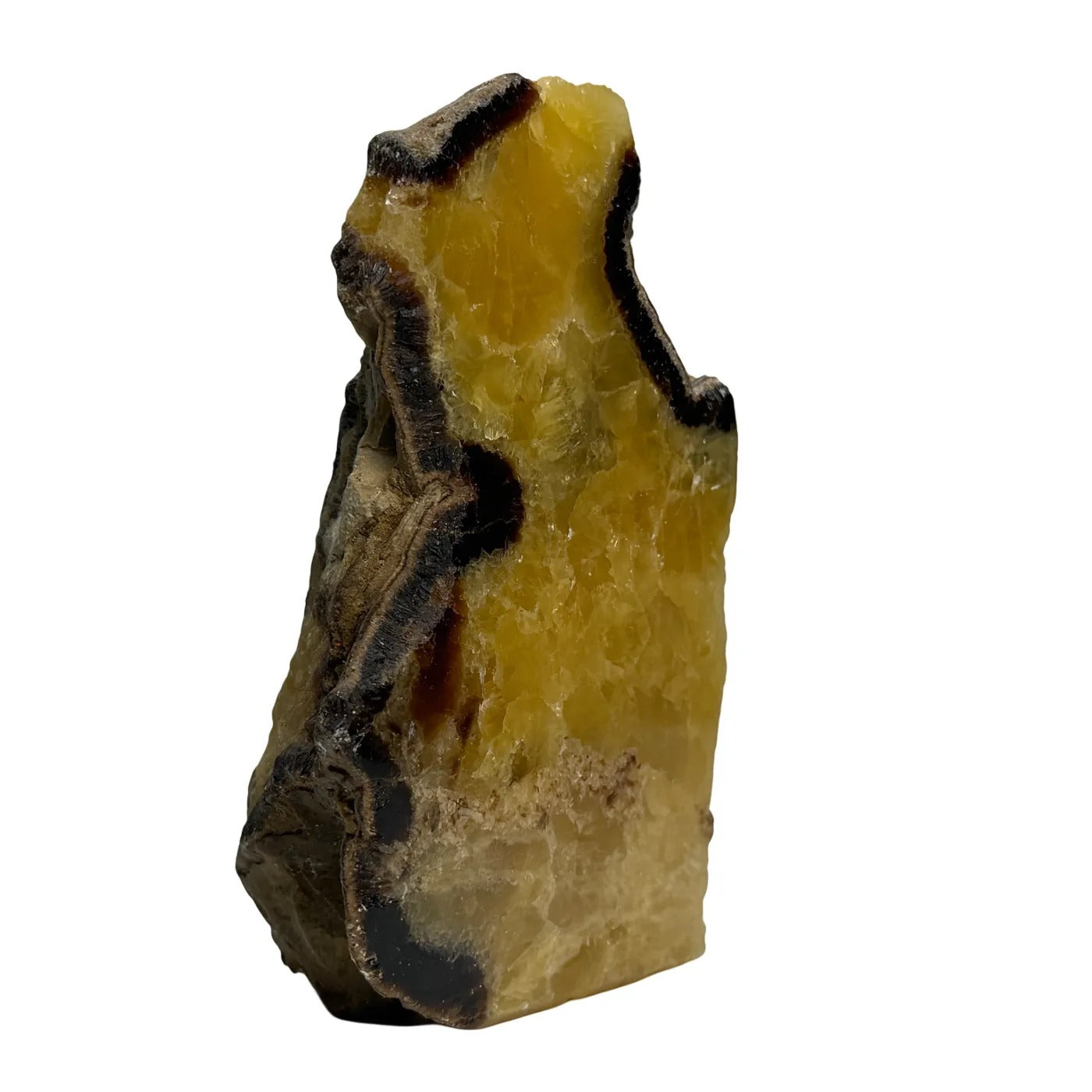 Septarie uit Madagaskar – cut base #1