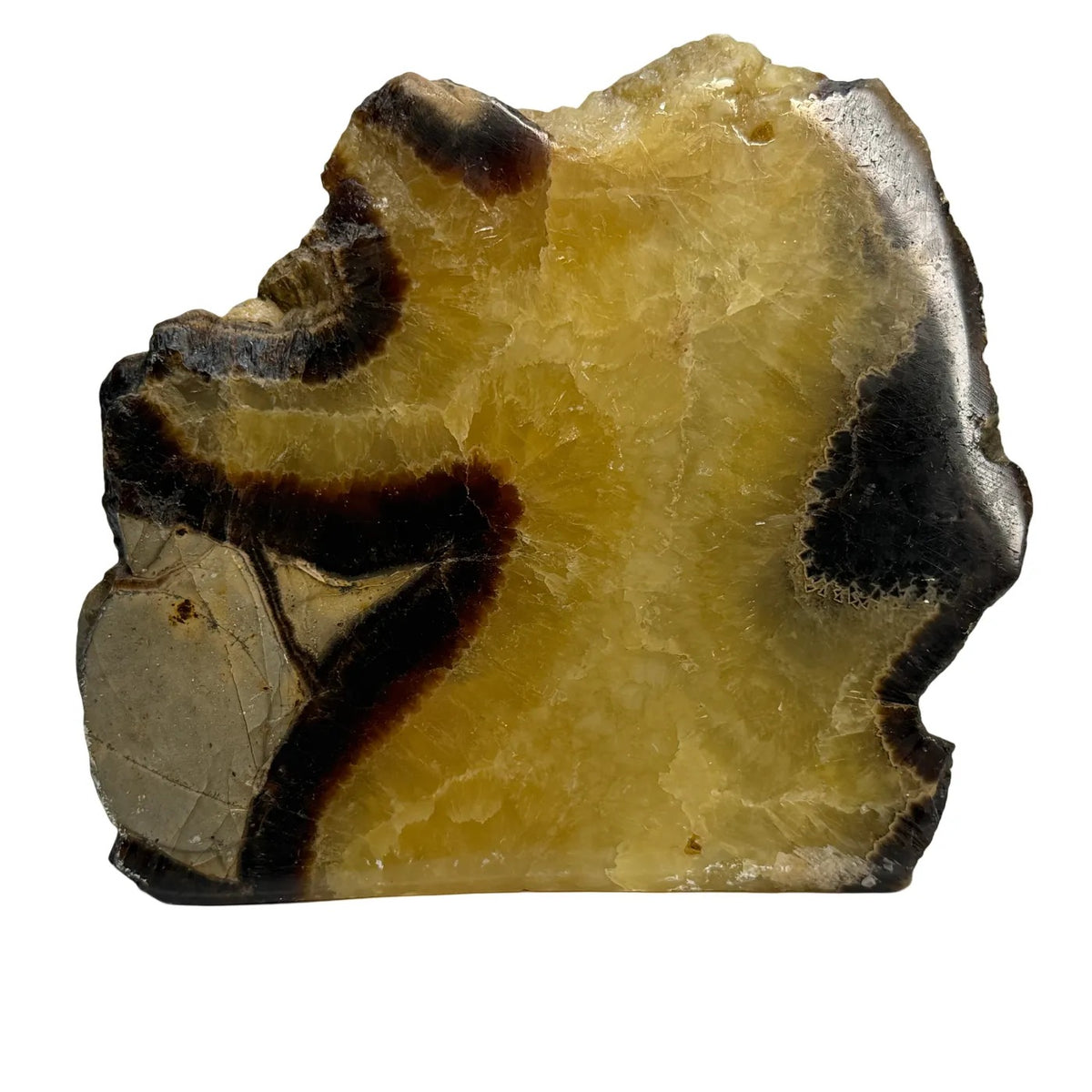 Septarie uit Madagaskar – cut base #3