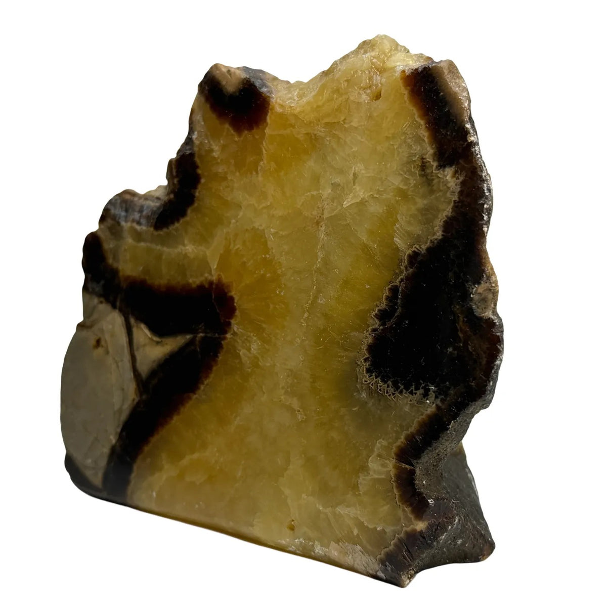 Septarie uit Madagaskar – cut base #3
