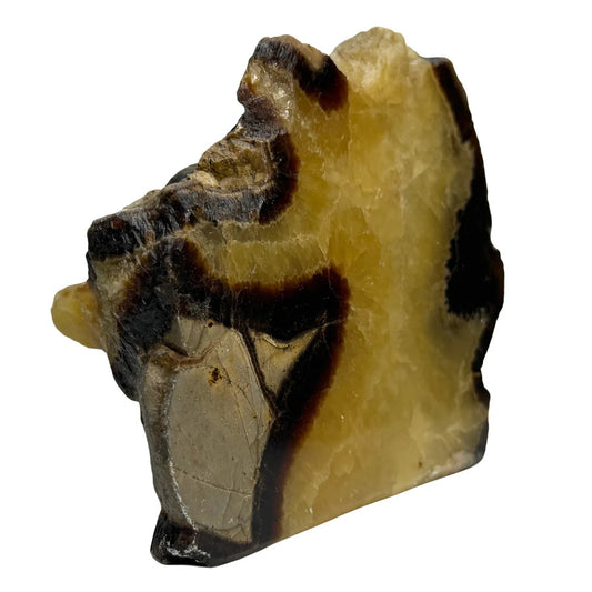 Septarie uit Madagaskar – cut base #3