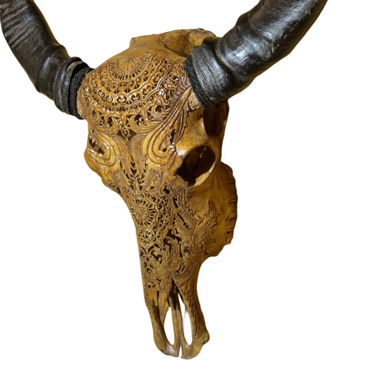 Buffelschedel met gravering