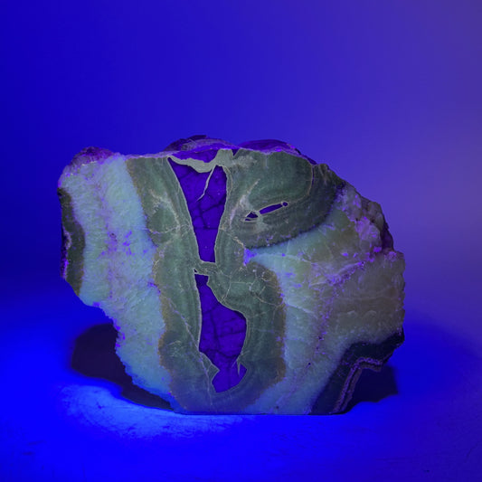 Septarie cut base 12,5 cm