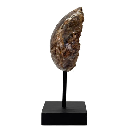 agate - formation rocheuse - standard - 19 cm - #8