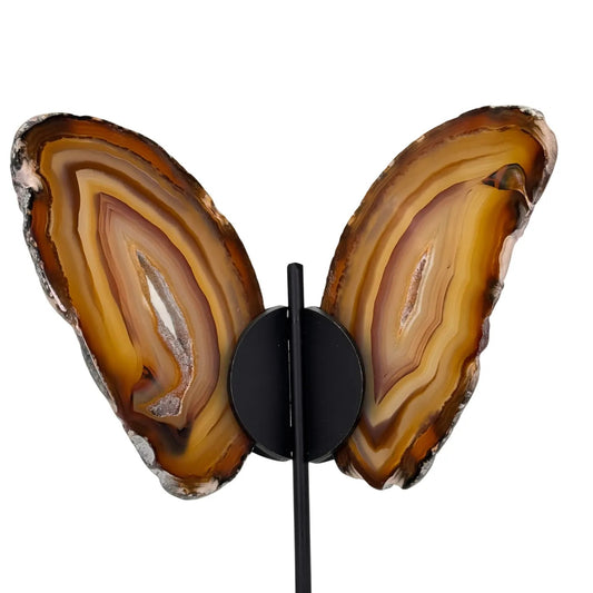 Papillon en agate sur support #2