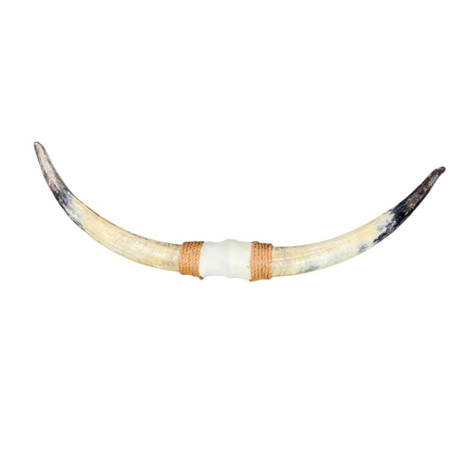 Bullbar texas - hoorns - 91 cm - #47