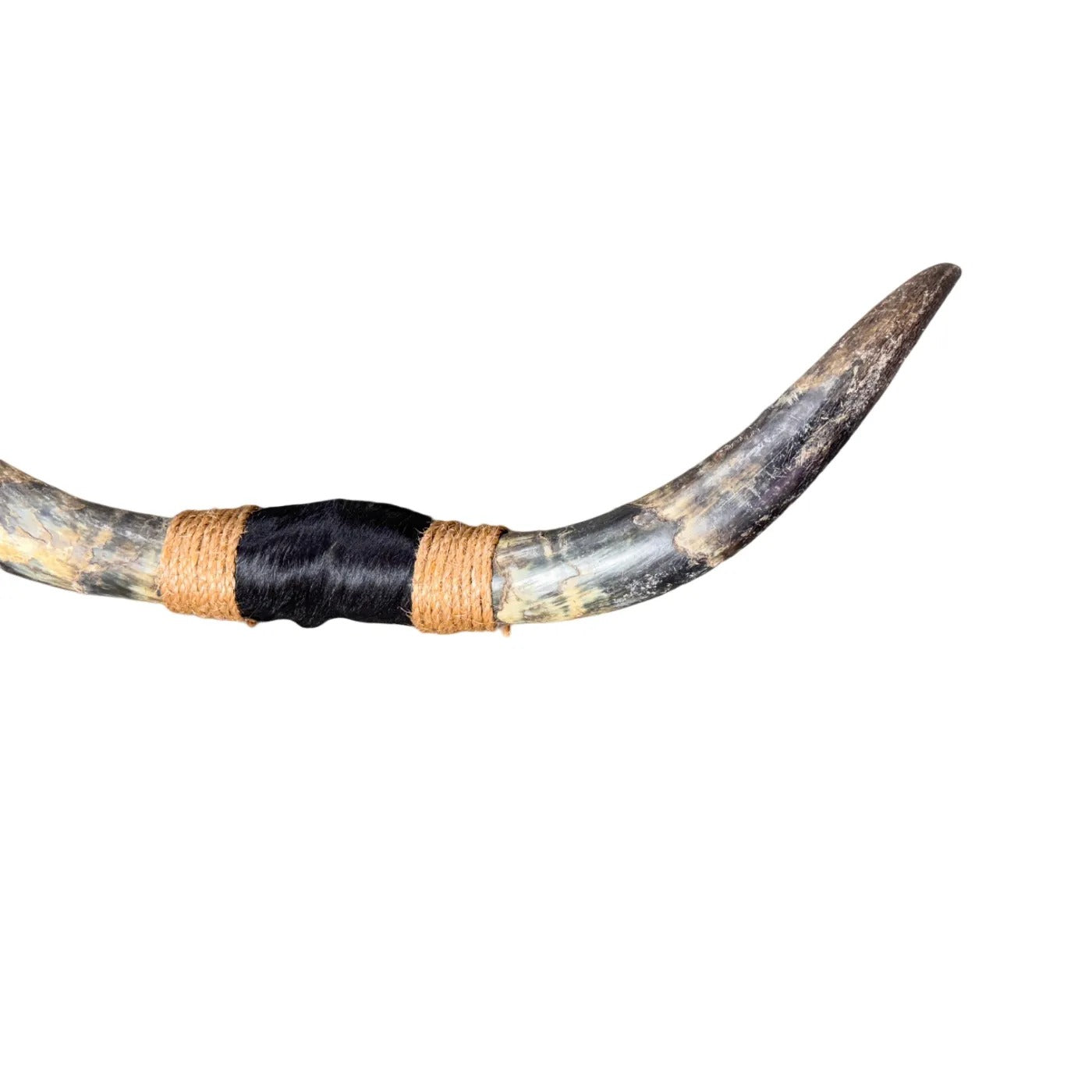 Bullbar texas - hoorns - 94 cm - #48