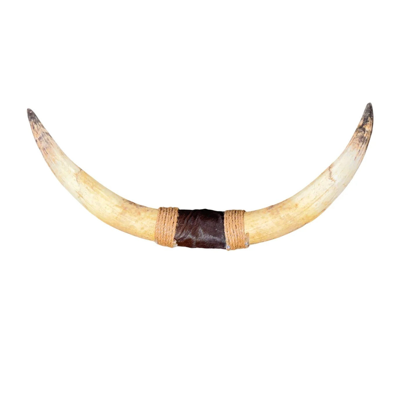 Bullbar texas - hoorns - 94 cm - #49