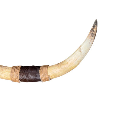 Bullbar texas - hoorns - 94 cm - #49