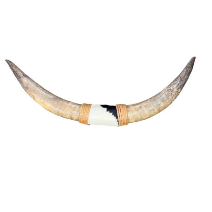 Bullbar texas - hoorns - 96 cm - #50