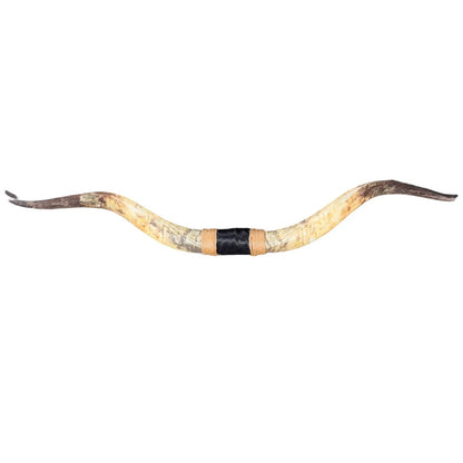 Bullbar texas - hoorns - 155 cm #38