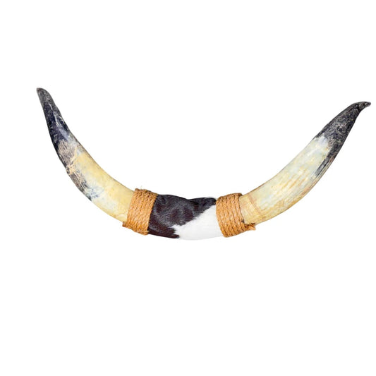 Bullbar texas - hoorns - 77 cm - #42