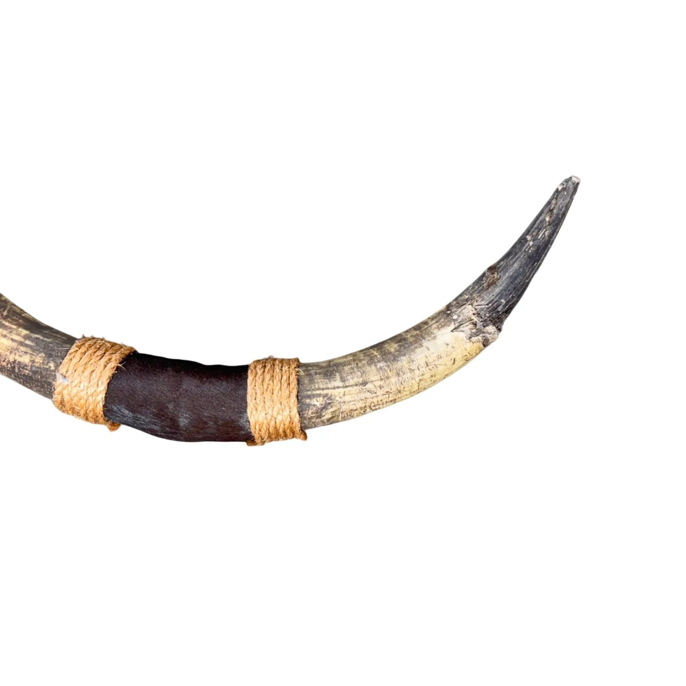 Bullbar texas - hoorns - 71 cm - #45