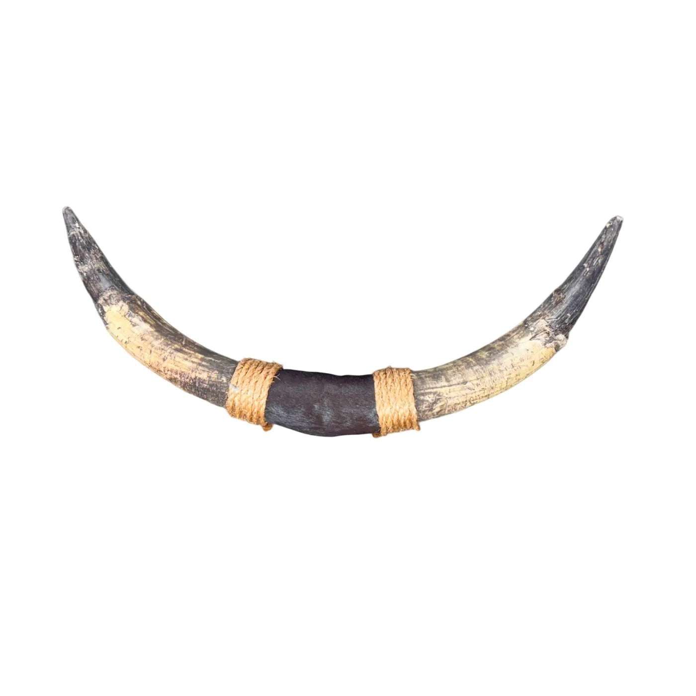 Bullbar texas - hoorns - 71 cm - #45