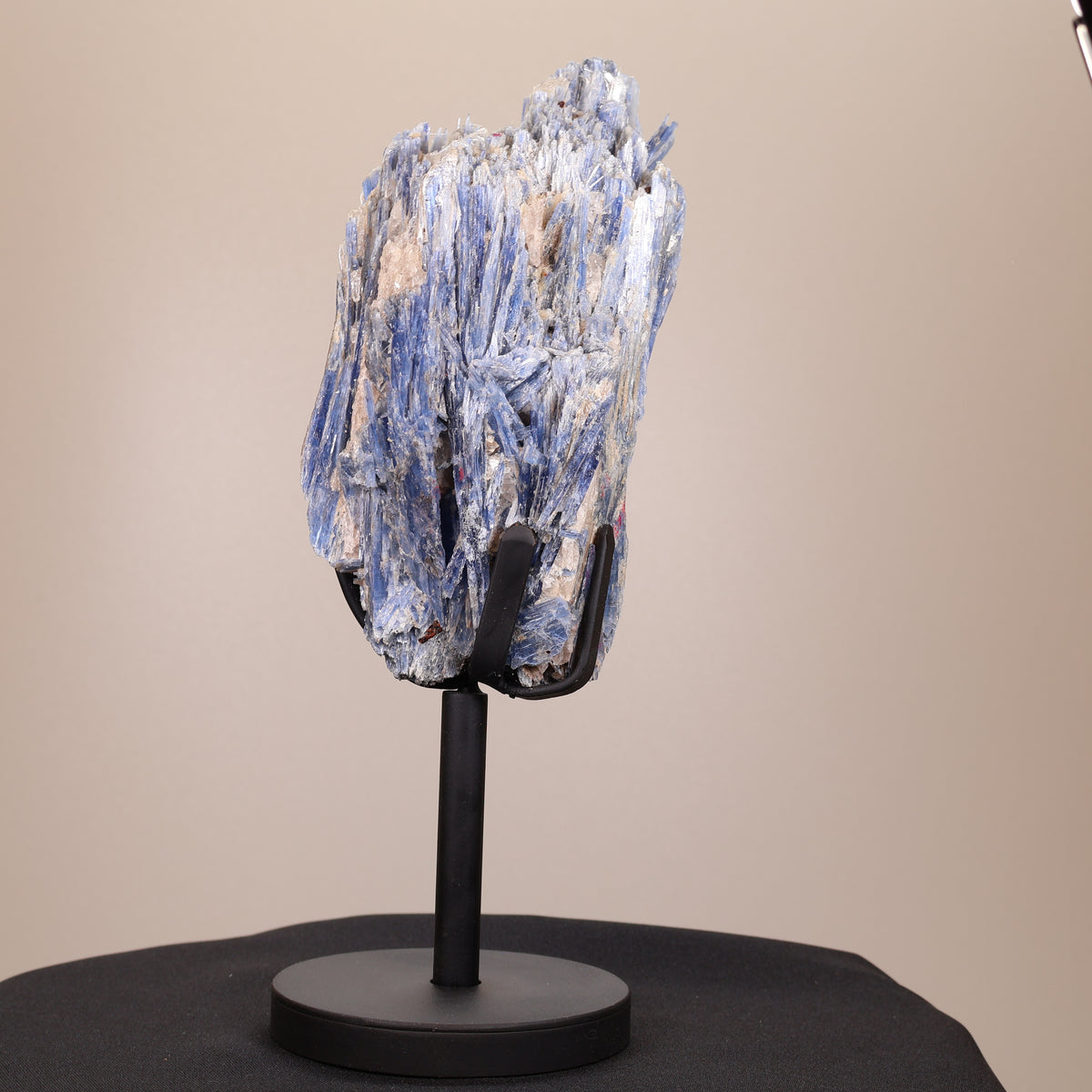 Ruwe Blauwe Kyaniet op Standaard uit Brazilië – 28 cm