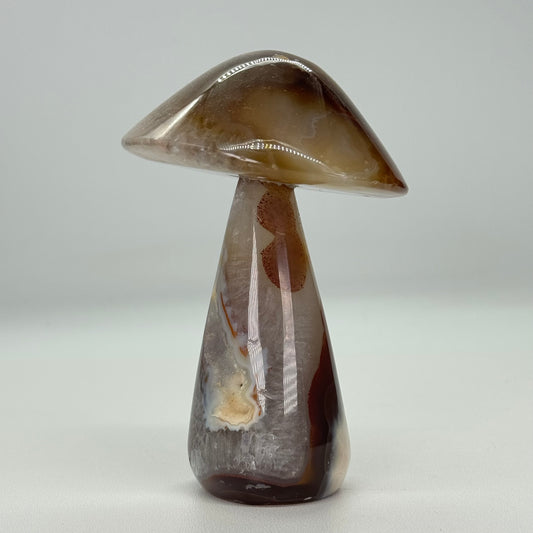 agate mushroom #3