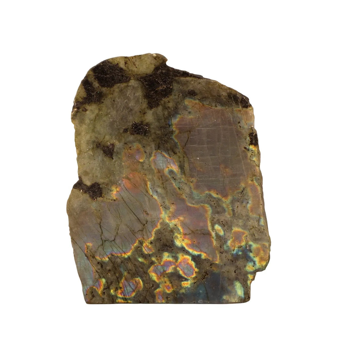Labradorite cut base half polished #4